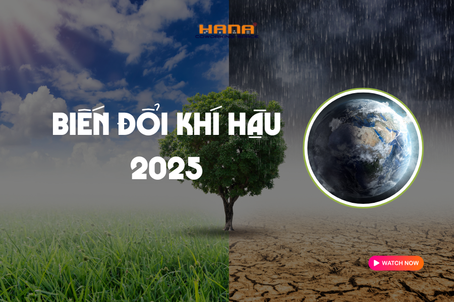 Biến đổi khí hậu 2025: Nguyên nhân - thực trạng- giải pháp